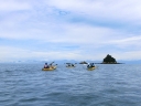 abeltasman (17)